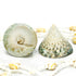 Trochus Jade Green shell for sale